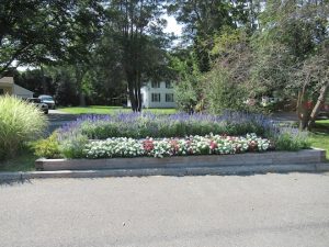 Public library exterior sign, white building facade, and landscaped beds with colorful flowers and shrubs.